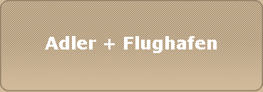 Adler + Flughafen