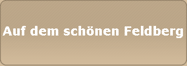 Auf dem schönen Feldberg