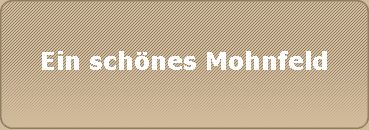 Ein schnes Mohnfeld