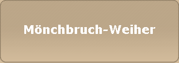 Mnchbruch-Weiher