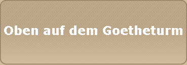 Oben auf dem Goetheturm