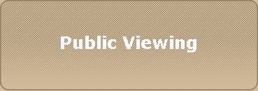 Public Viewing
