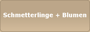 Schmetterlinge + Blumen