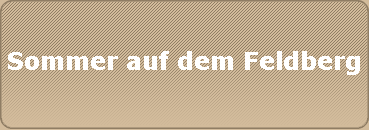 Sommer auf dem Feldberg