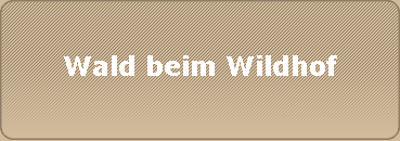 Wald beim Wildhof