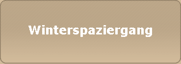Winterspaziergang